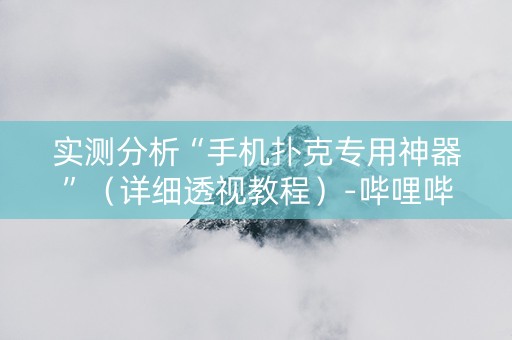 实测分析“手机扑克专用神器”（详细透视教程）-哔哩哔哩