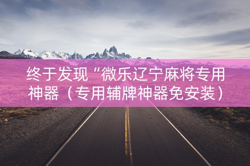 终于发现“微乐辽宁麻将专用神器（专用辅牌神器免安装）