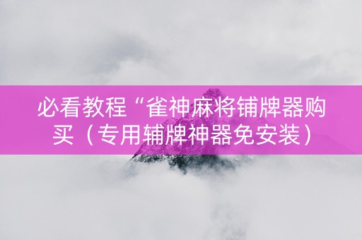 必看教程“雀神麻将铺牌器购买（专用辅牌神器免安装）