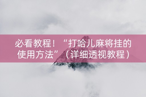 必看教程！“打哈儿麻将挂的使用方法”（详细透视教程）-哔哩哔哩