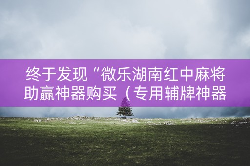 终于发现“微乐湖南红中麻将助赢神器购买（专用辅牌神器免安装）