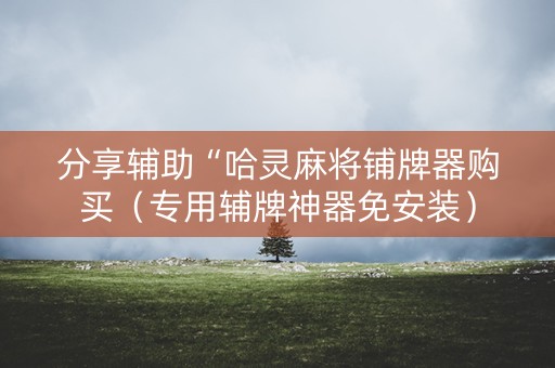 分享辅助“哈灵麻将铺牌器购买（专用辅牌神器免安装）