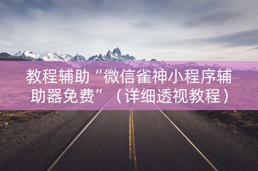教程辅助“微信雀神小程序辅助器免费”（详细透视教程）-哔哩哔哩