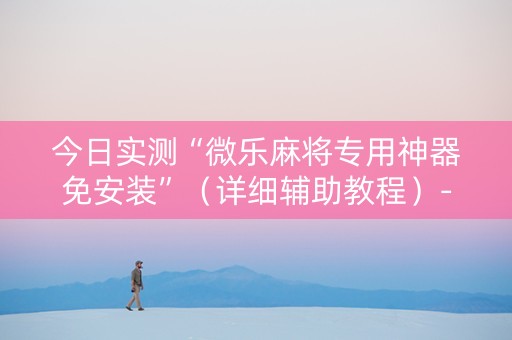 今日实测“微乐麻将专用神器免安装”（详细辅助教程）-哔哩哔哩