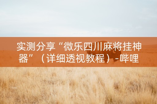 实测分享“微乐四川麻将挂神器”（详细透视教程）-哔哩哔哩