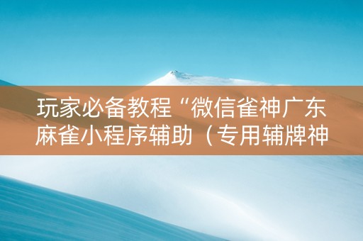 玩家必备教程“微信雀神广东麻雀小程序辅助（专用辅牌神器免安装）