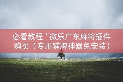 必看教程“微乐广东麻将插件购买（专用辅牌神器免安装）