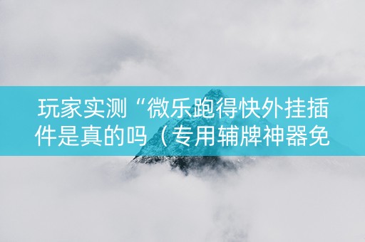 玩家实测“微乐跑得快外挂插件是真的吗（专用辅牌神器免安装）