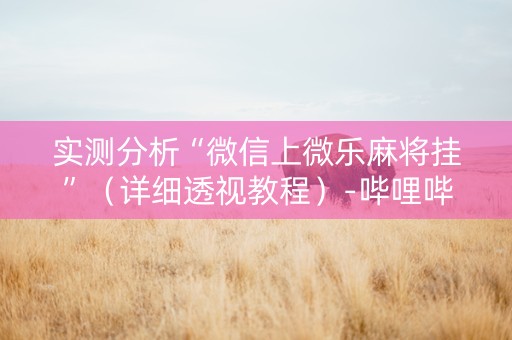 实测分析“微信上微乐麻将挂”（详细透视教程）-哔哩哔哩