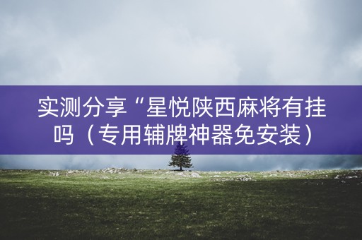 实测分享“星悦陕西麻将有挂吗（专用辅牌神器免安装）