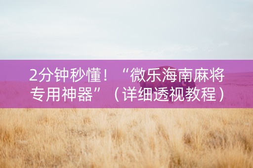 2分钟秒懂！“微乐海南麻将专用神器”（详细透视教程）-哔哩哔哩