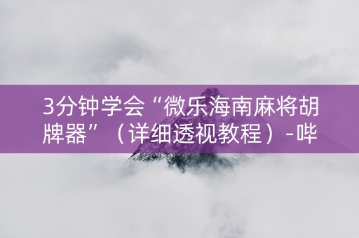 3分钟学会“微乐海南麻将胡牌器”（详细透视教程）-哔哩哔哩