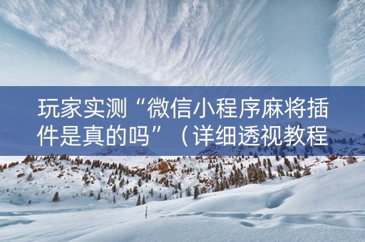 玩家实测“微信小程序麻将插件是真的吗”（详细透视教程）-哔哩哔哩