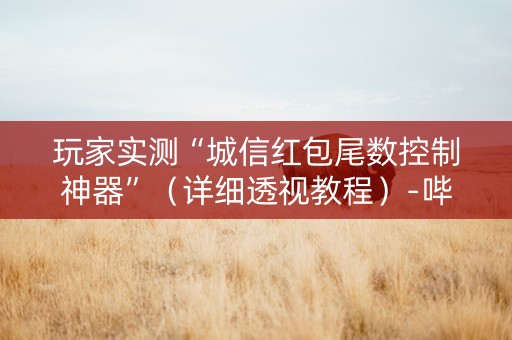 玩家实测“城信红包尾数控制神器”（详细透视教程）-哔哩哔哩