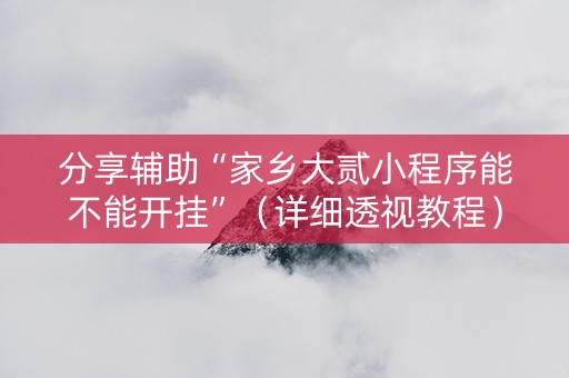 分享辅助“家乡大贰小程序能不能开挂”（详细透视教程）-哔哩哔哩