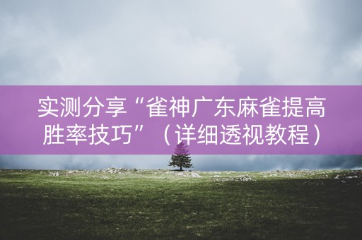 实测分享“雀神广东麻雀提高胜率技巧”（详细透视教程）-哔哩哔哩
