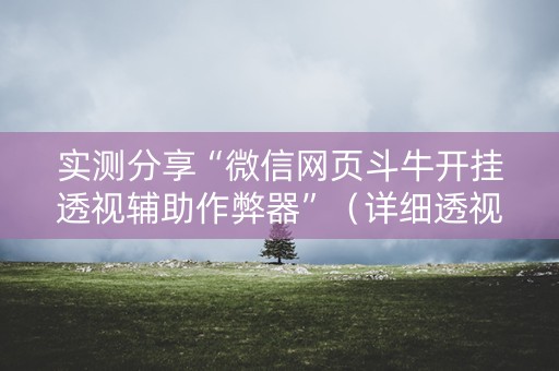 实测分享“微信网页斗牛开挂透视辅助作弊器”（详细透视教程）-哔哩哔哩