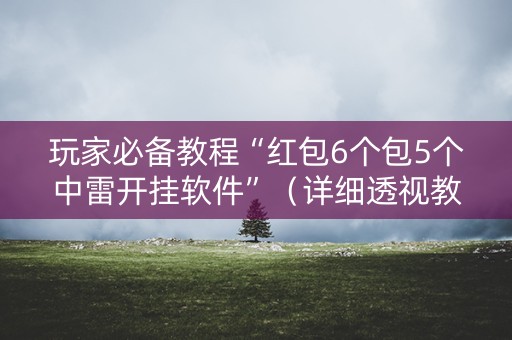 玩家必备教程“红包6个包5个中雷开挂软件”（详细透视教程）-哔哩哔哩