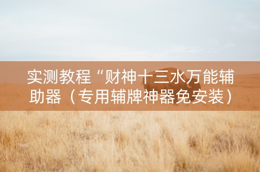 实测教程“财神十三水万能辅助器（专用辅牌神器免安装）