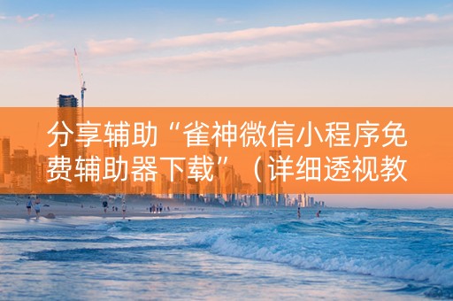 分享辅助“雀神微信小程序免费辅助器下载”（详细透视教程）-哔哩哔哩