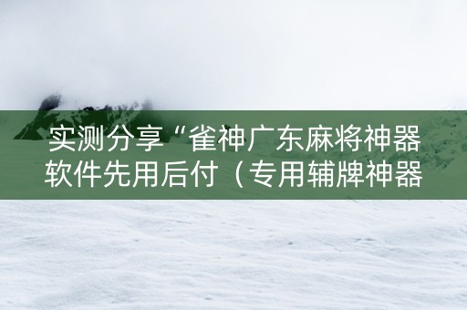 实测分享“雀神广东麻将神器软件先用后付（专用辅牌神器免安装）