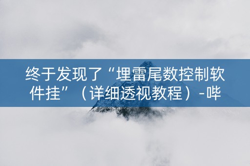 终于发现了“埋雷尾数控制软件挂”（详细透视教程）-哔哩哔哩