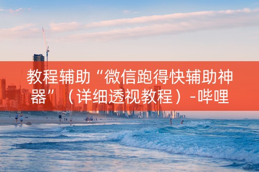 教程辅助“微信跑得快辅助神器”（详细透视教程）-哔哩哔哩