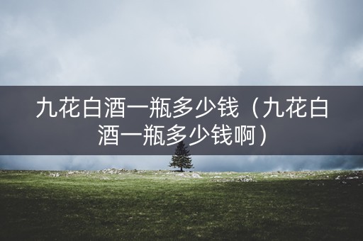 九花白酒一瓶多少钱（九花白酒一瓶多少钱啊）