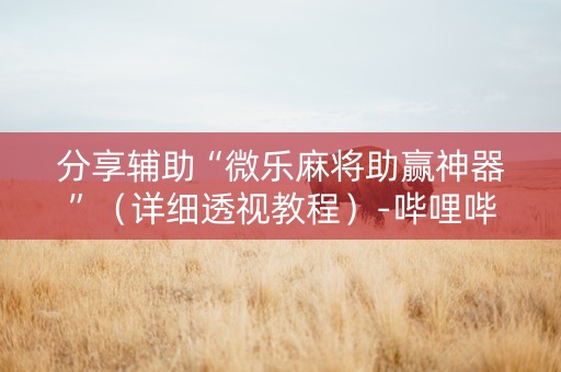 分享辅助“微乐麻将助赢神器”（详细透视教程）-哔哩哔哩