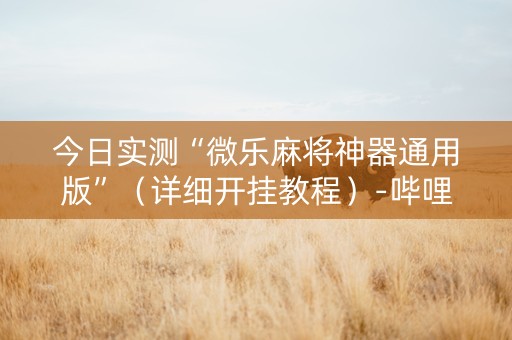 今日实测“微乐麻将神器通用版”（详细开挂教程）-哔哩哔哩