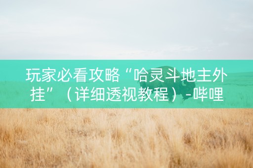 玩家必看攻略“哈灵斗地主外挂”（详细透视教程）-哔哩哔哩