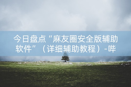 今日盘点“麻友圈安全版辅助软件”（详细辅助教程）-哔哩哔哩