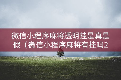 微信小程序麻将透明挂是真是假（微信小程序麻将有挂吗2019）