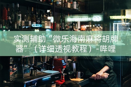 实测辅助“微乐海南麻将胡牌器”（详细透视教程）-哔哩哔哩