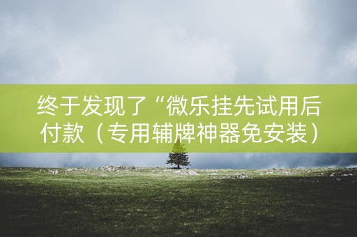 终于发现了“微乐挂先试用后付款（专用辅牌神器免安装）