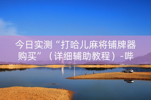 今日实测“打哈儿麻将铺牌器购买”（详细辅助教程）-哔哩哔哩