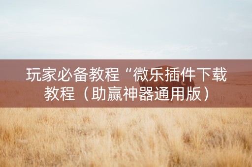 玩家必备教程“微乐插件下载教程（助赢神器通用版）