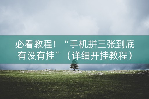 必看教程！“手机拼三张到底有没有挂”（详细开挂教程）-哔哩哔哩
