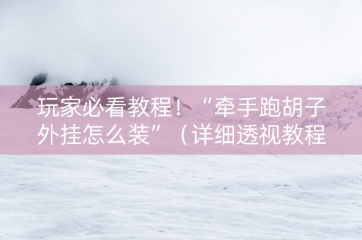 玩家必看教程！“牵手跑胡子外挂怎么装”（详细透视教程）-哔哩哔哩