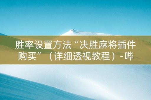 胜率设置方法“决胜麻将插件购买”（详细透视教程）-哔哩哔哩