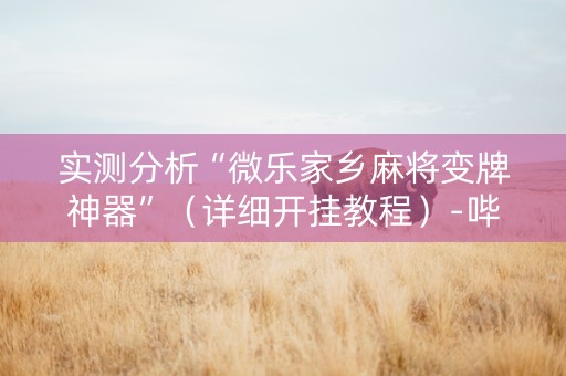 实测分析“微乐家乡麻将变牌神器”（详细开挂教程）-哔哩哔哩