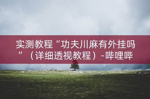 实测教程“功夫川麻有外挂吗”（详细透视教程）-哔哩哔哩