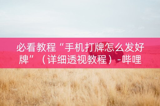 必看教程“手机打牌怎么发好牌”（详细透视教程）-哔哩哔哩