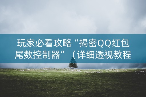 玩家必看攻略“揭密QQ红包尾数控制器”（详细透视教程）-哔哩哔哩