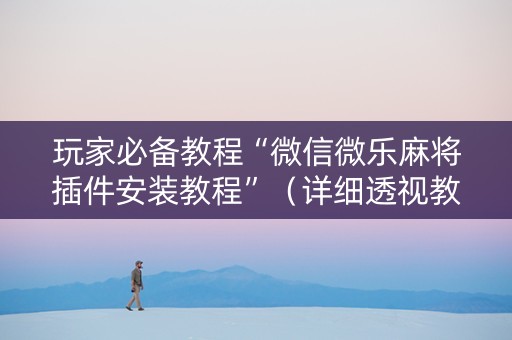 玩家必备教程“微信微乐麻将插件安装教程”（详细透视教程）-哔哩哔哩