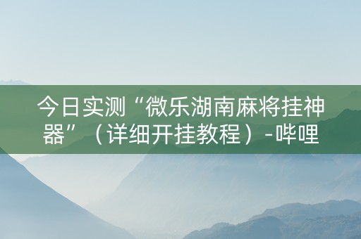 今日实测“微乐湖南麻将挂神器”（详细开挂教程）-哔哩哔哩