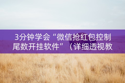 3分钟学会“微信抢红包控制尾数开挂软件”（详细透视教程）-哔哩哔哩