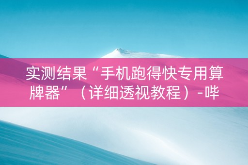 实测结果“手机跑得快专用算牌器”（详细透视教程）-哔哩哔哩