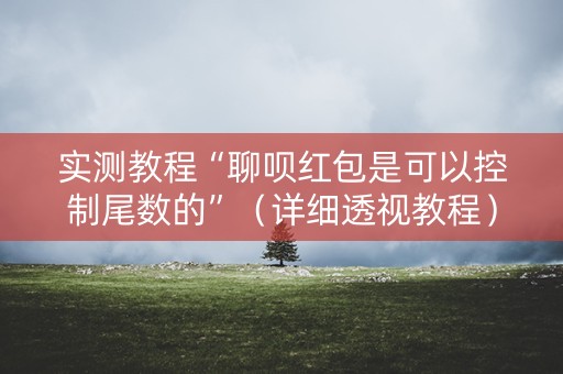 实测教程“聊呗红包是可以控制尾数的”（详细透视教程）-哔哩哔哩