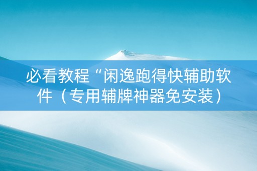必看教程“闲逸跑得快辅助软件（专用辅牌神器免安装）